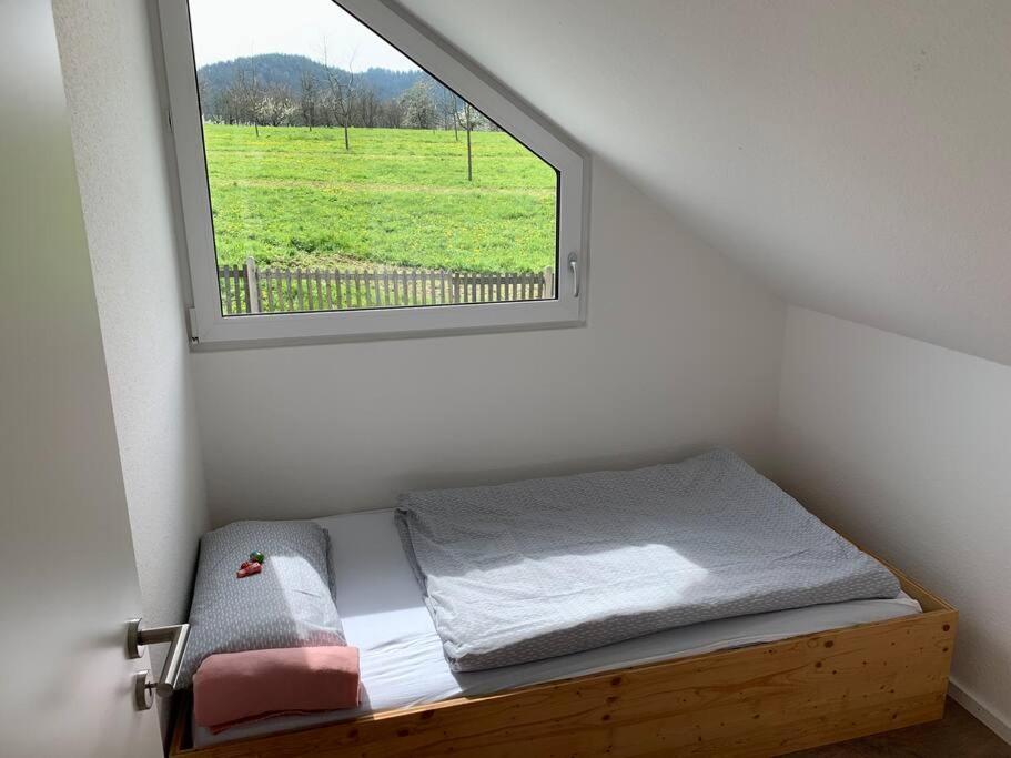 Wohnung Am Fusse Des Schwarzwalds Oberkirch  Extérieur photo