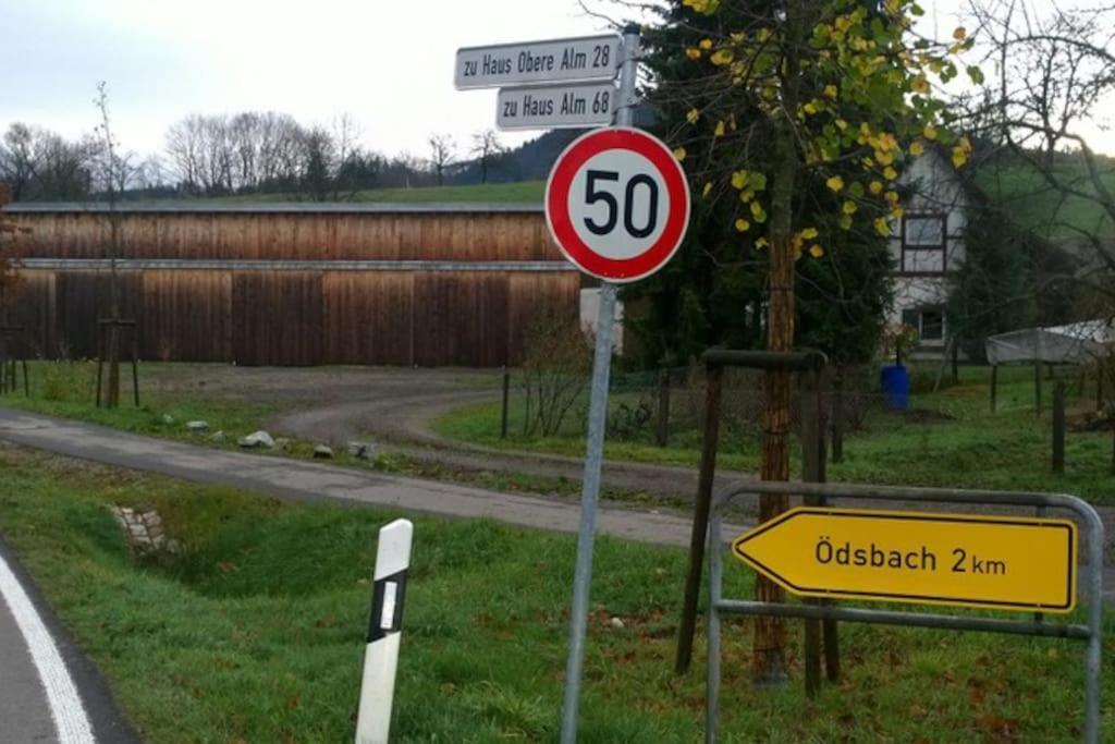 Wohnung Am Fusse Des Schwarzwalds Oberkirch  Extérieur photo