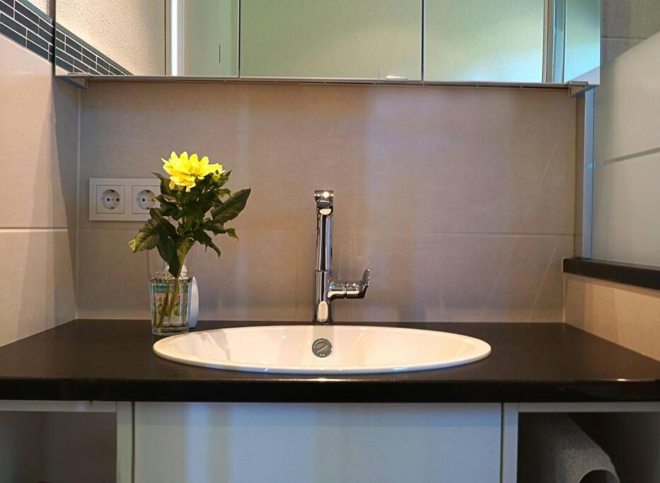 Wohnung Am Fusse Des Schwarzwalds Oberkirch  Extérieur photo